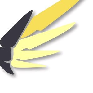 Meet your Posher, Xochitl